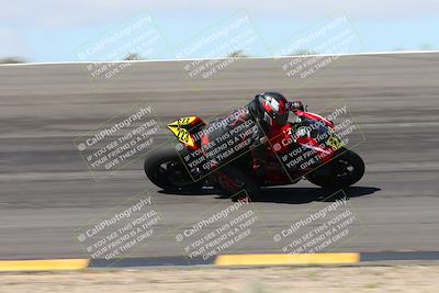 media/Apr-05-2024-Apex Assassins-CVMA Friday Practice (Fri) [[ee2ef04f2b]]/3-Racer 2/Session 3 (Bowl Speed Pans)/